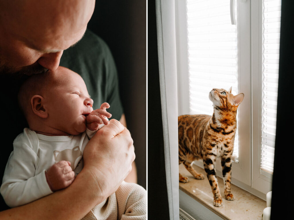 Babyfotoshooting zuhause