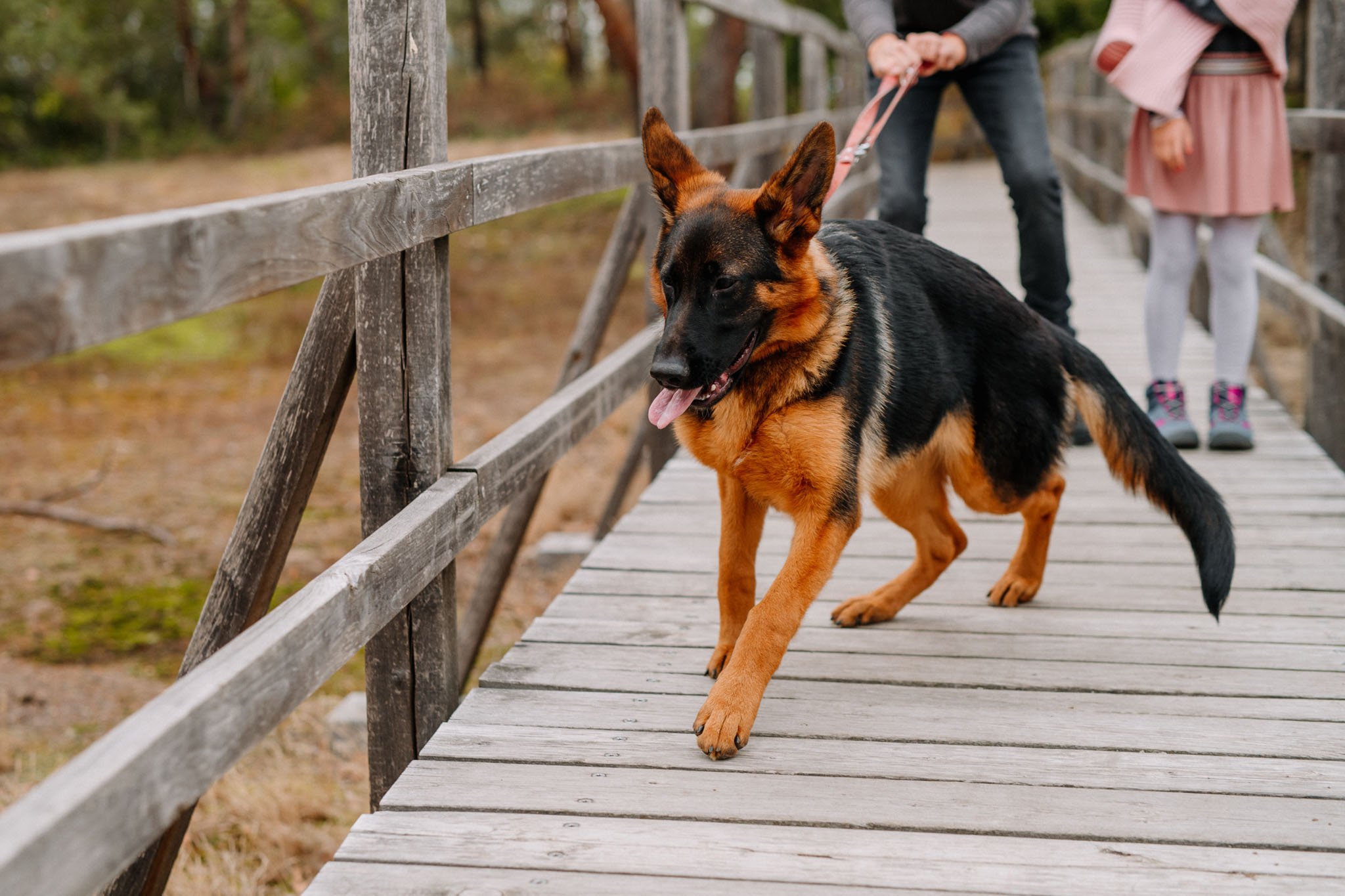 Familienshooting Hund