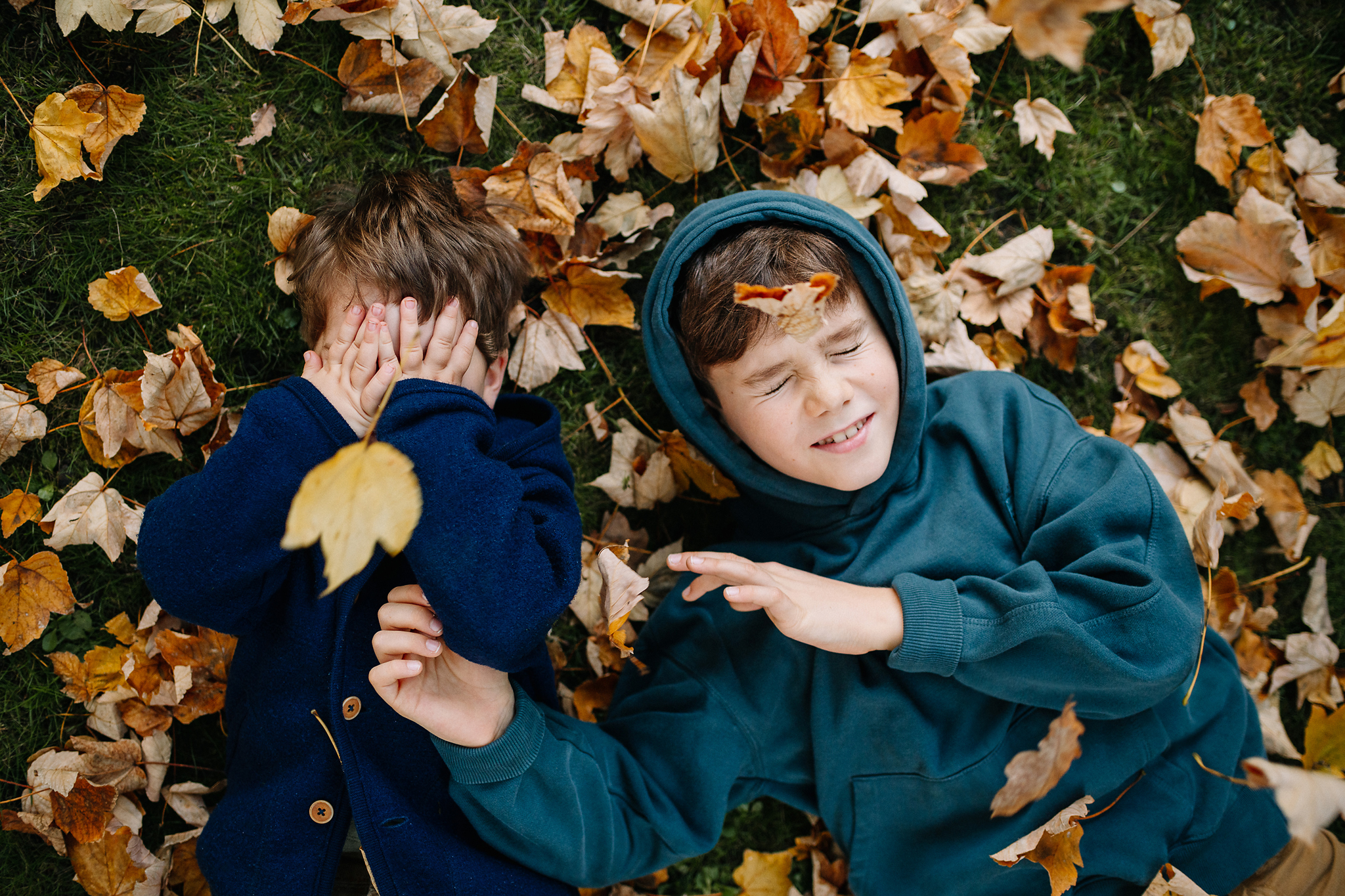 Herbstfotos Frankfurt