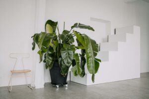 Fotostudio Frankfurt