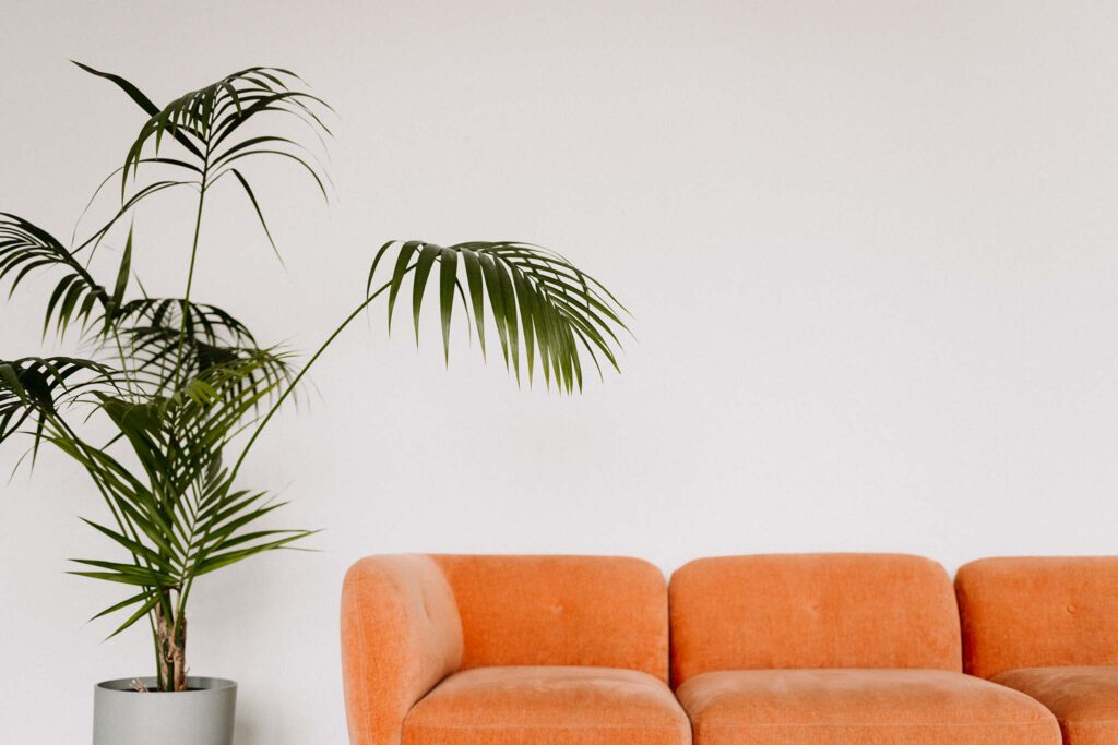 Fotostudio Frankfurt