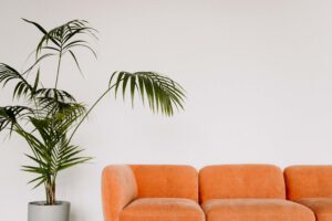 Fotostudio Frankfurt