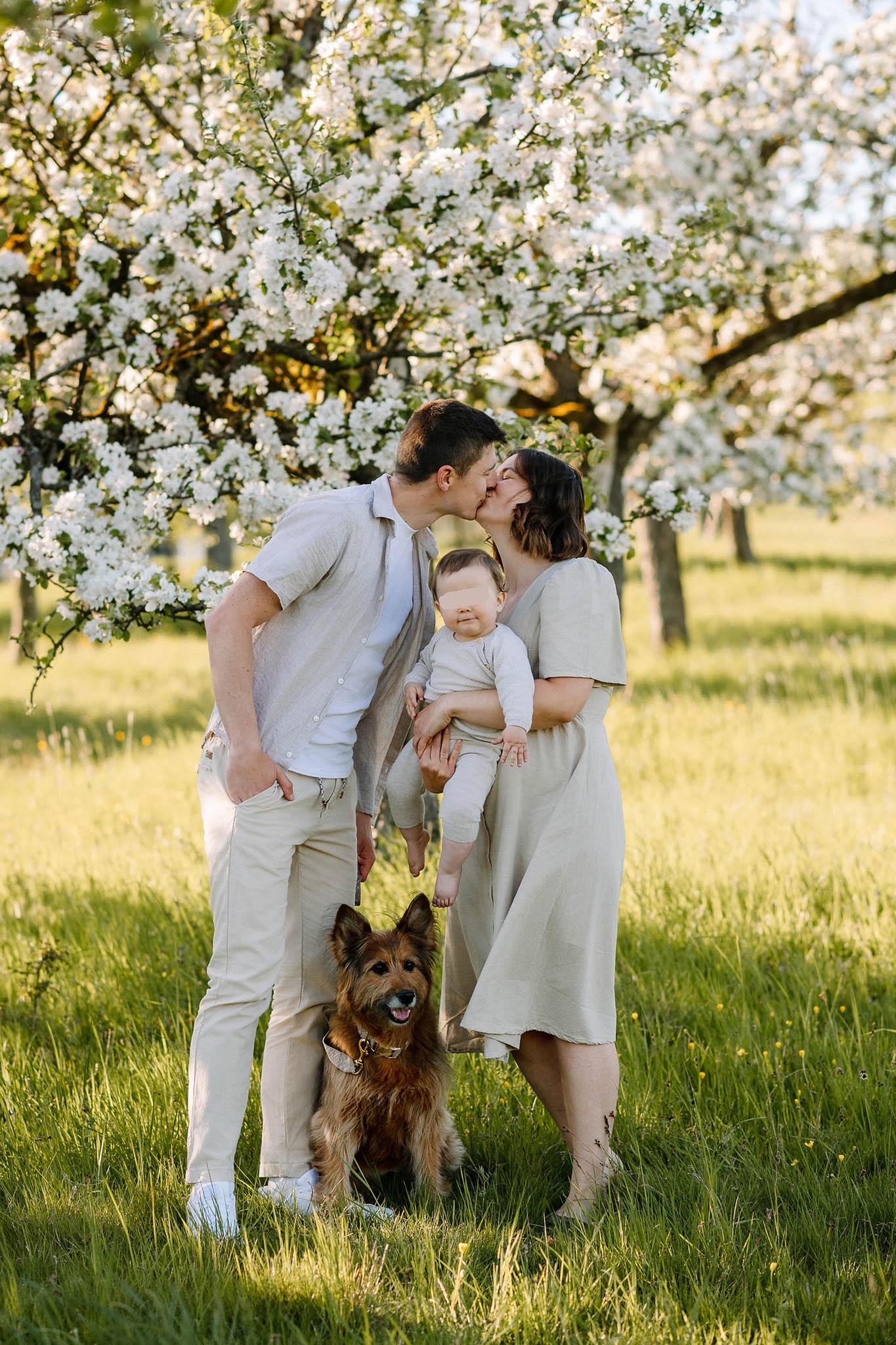 Familienfotoshooting zur Apfelblüte