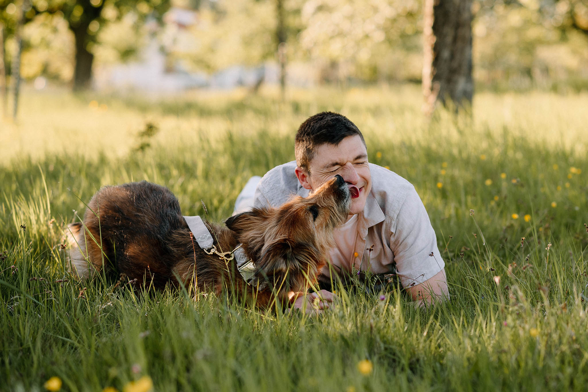 Fotoshooting mit Hund 