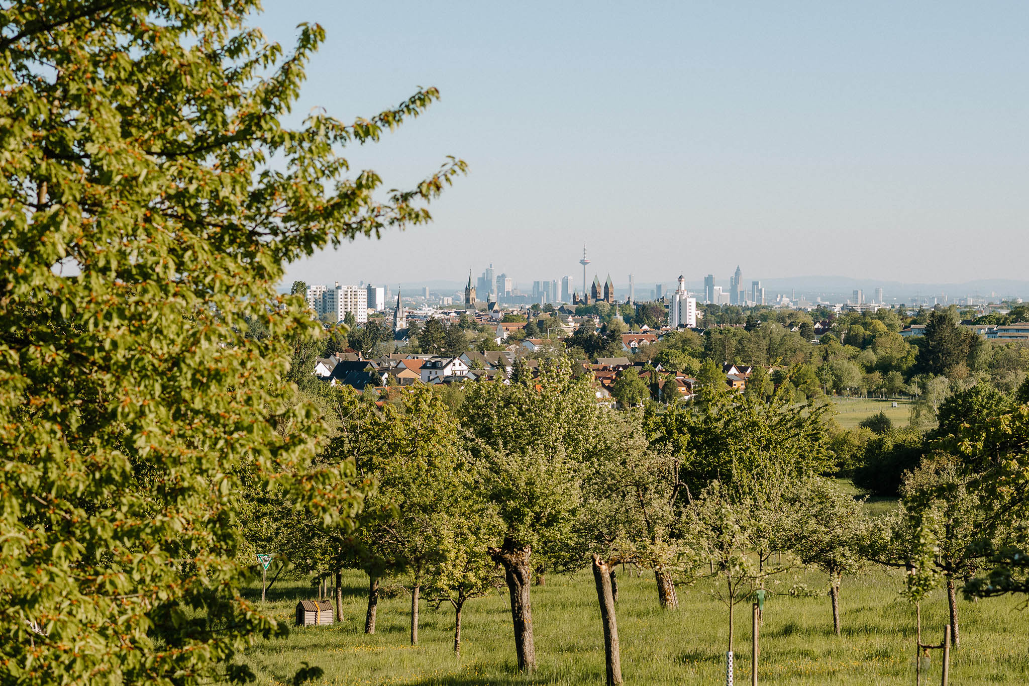 Bad Homburg von der Höhe Panorama