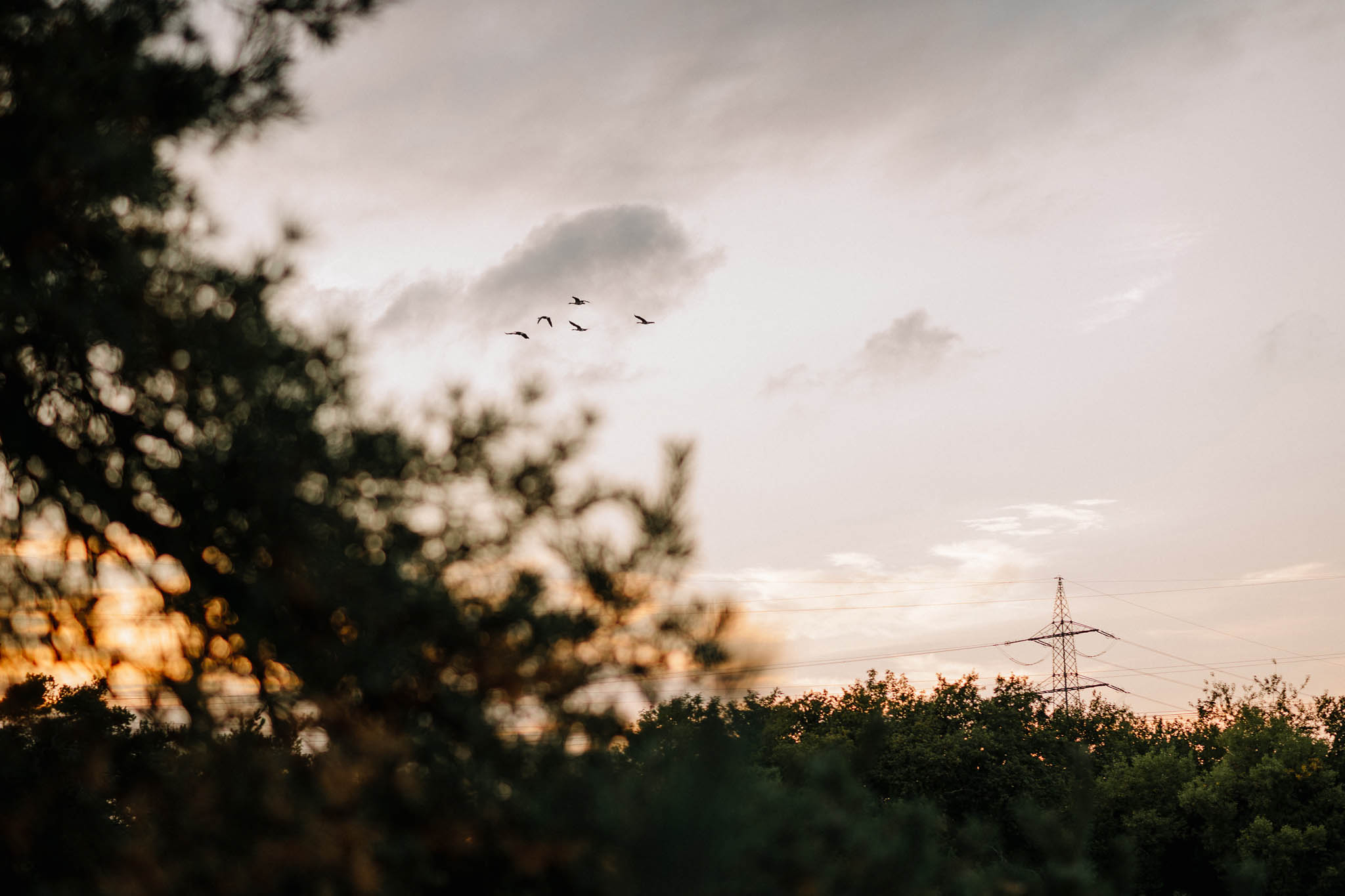 Abendliche Stimmung beim Sonnenuntergang