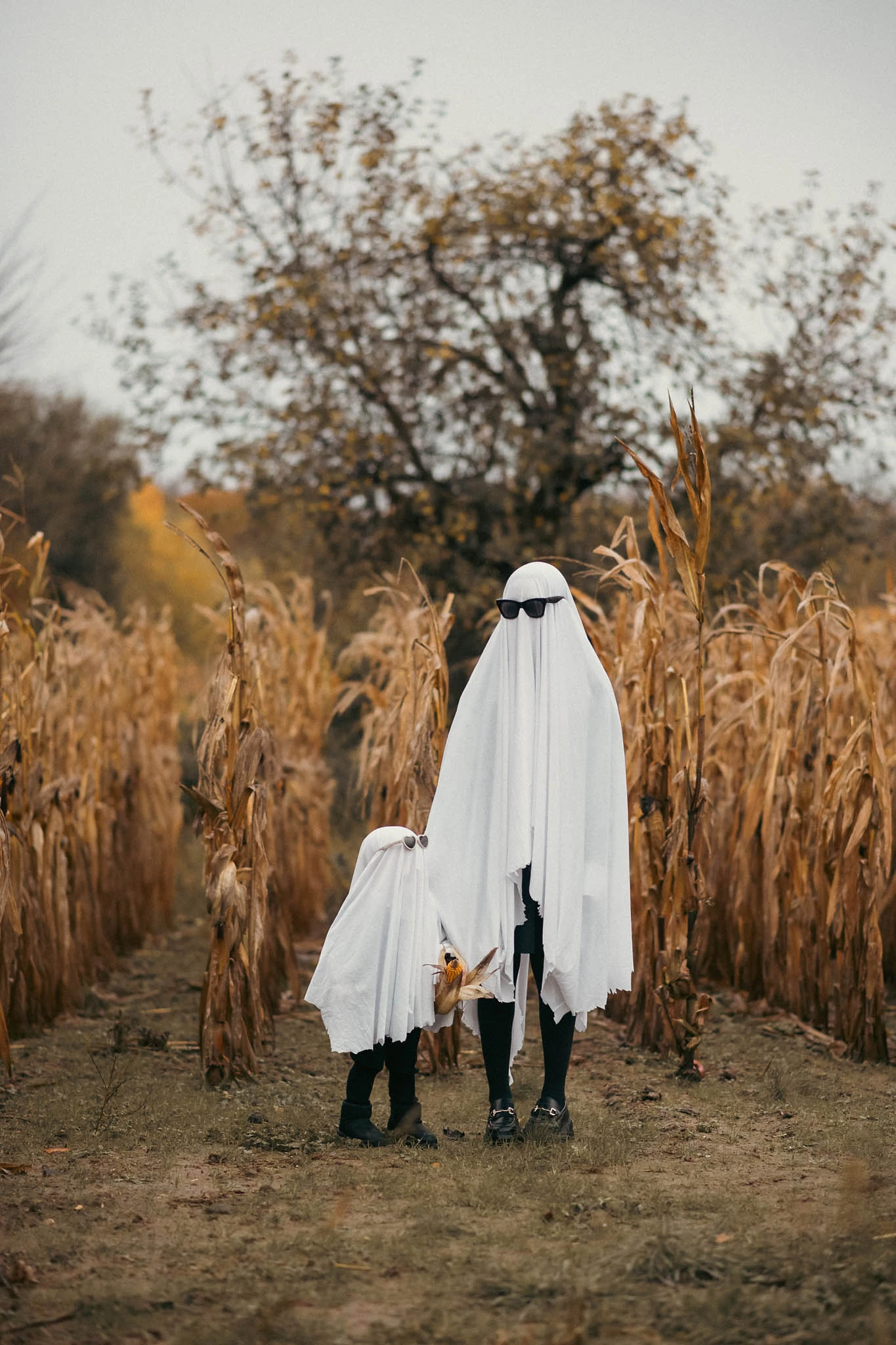 Herbstliches Familienfotoshooting im Maisfeld zum Thema Halloween uns süße Gespensterkostüme