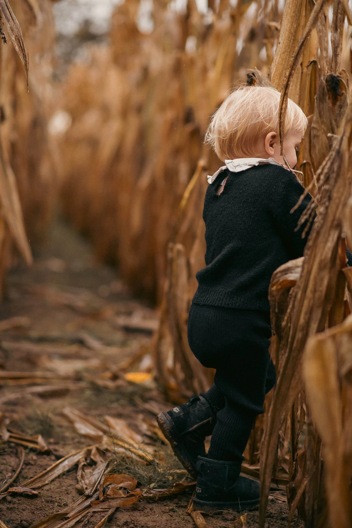 Herbstliches Familienfotoshooting im Maisfeld zum Thema Halloween