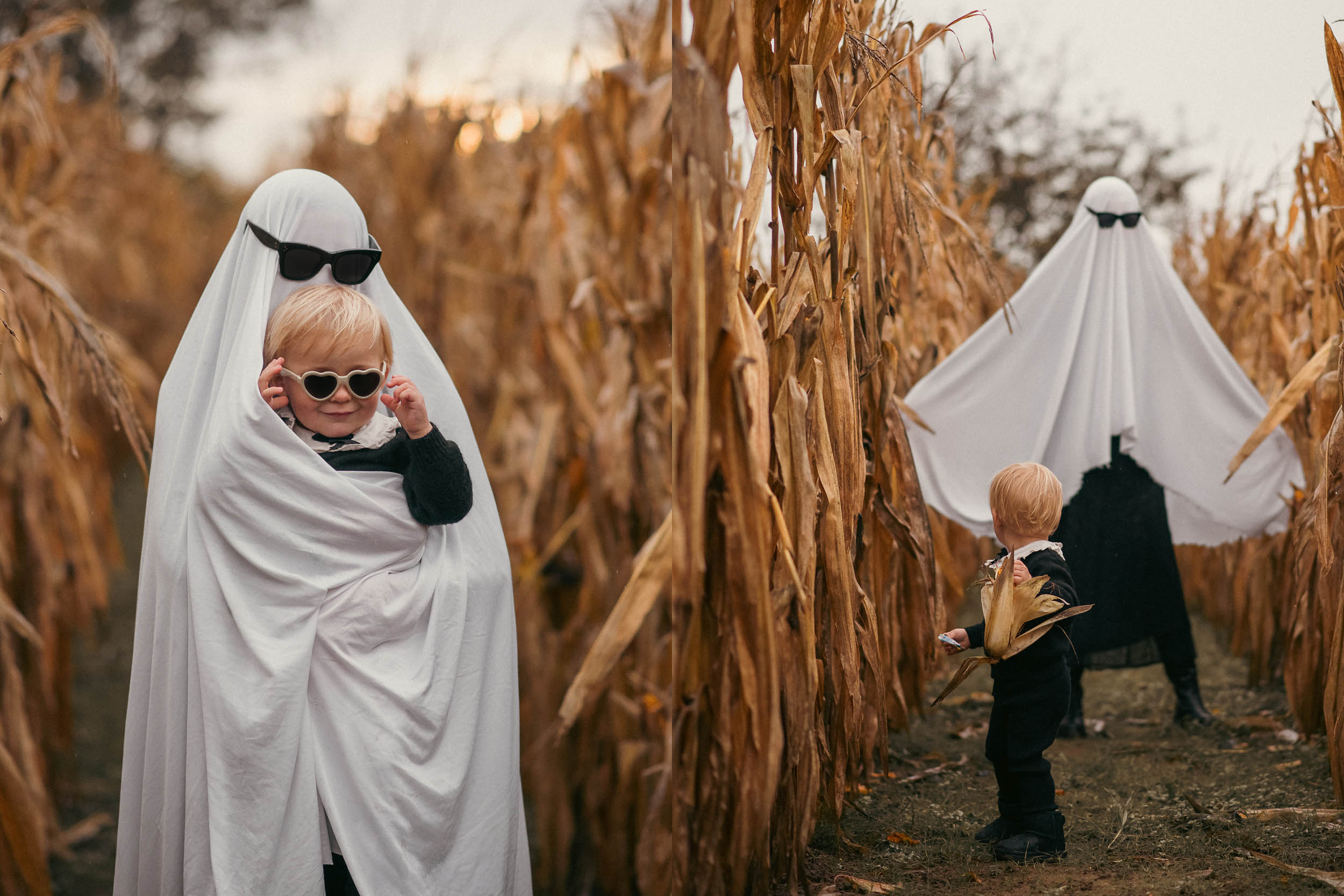 Herbstliches Familienfotoshooting im Maisfeld zum Thema Halloween uns süße Gespensterkostüme Fotocollage