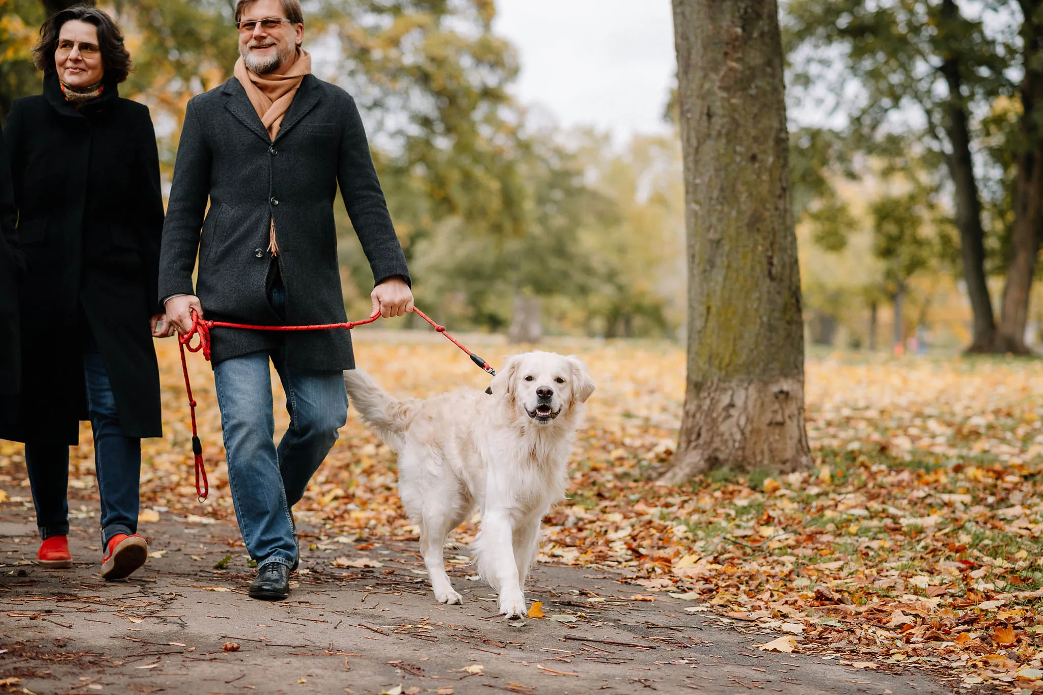Ein Paar geht im Park spazieren mit dem Hund an der Leine
