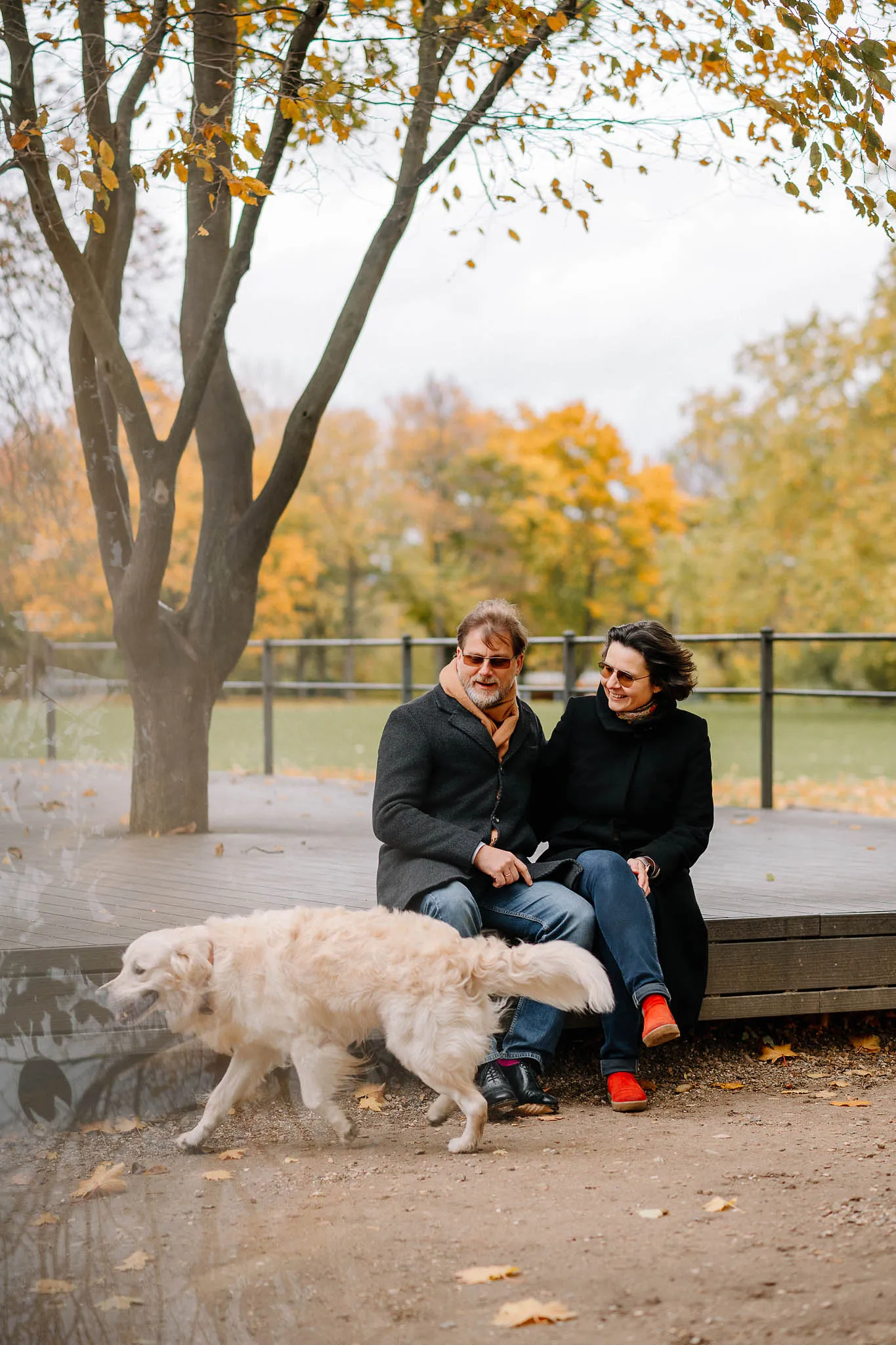 Ein Paar hat viel Spaß mit deinem Hund im Park beim Fotoshooting