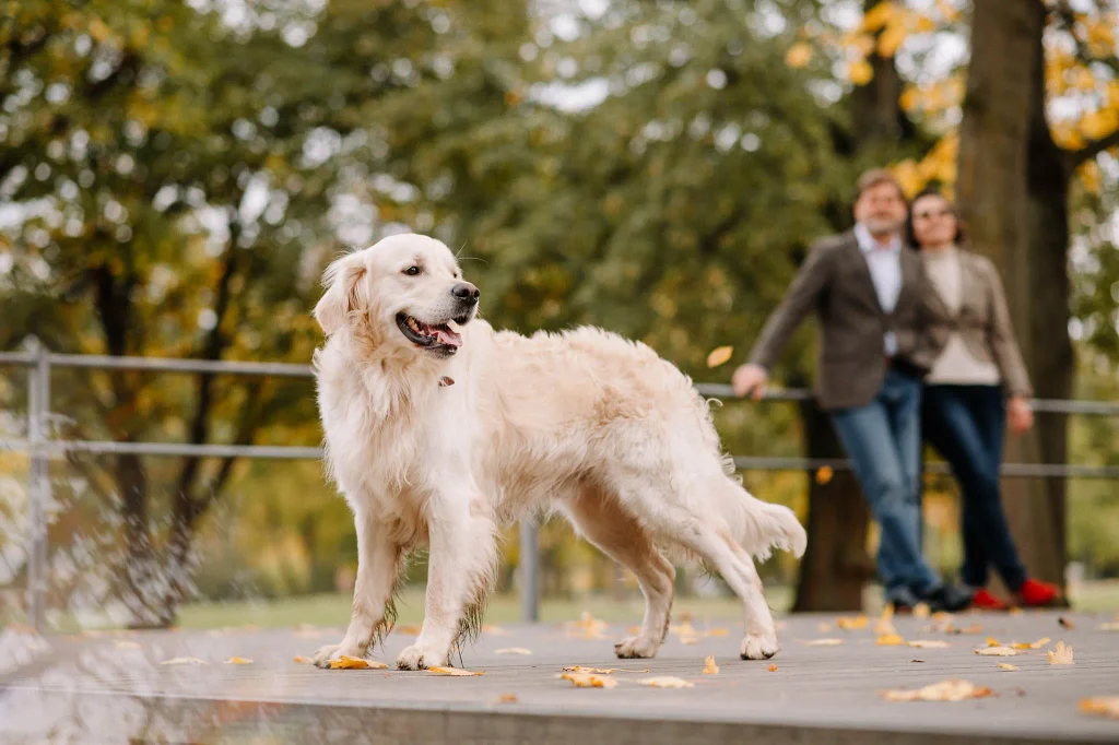 Paarshooting in Mainz mit Hund